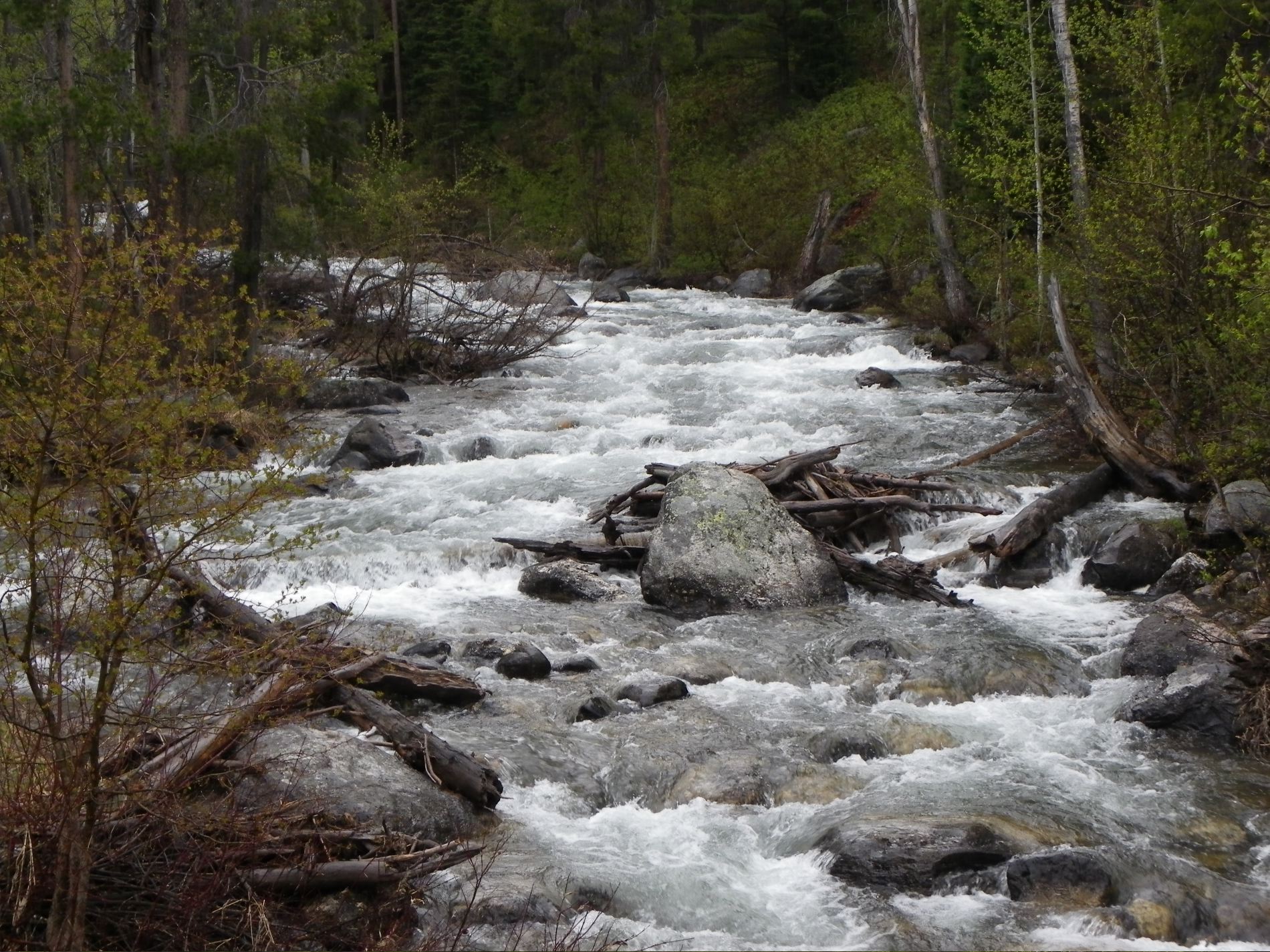 The rivers are running strong because of all the melting snow.